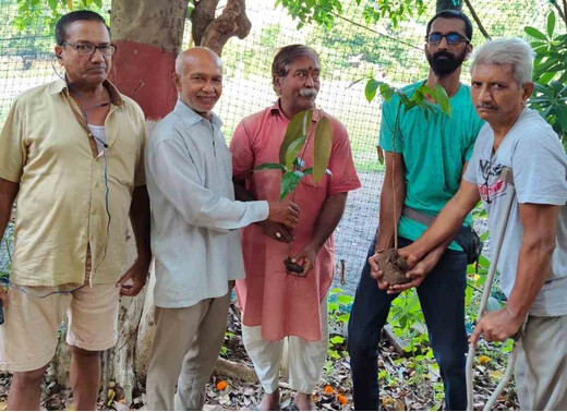 विश्व झील दिवस पर पर्यावरण भारती ने किया पौधारोपण, कृष्णा प्रसाद सिंह को दी श्रद्धांजलि